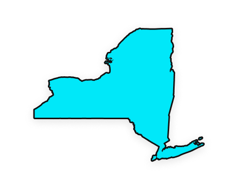 New York Workplace Violence Prevention for Retail