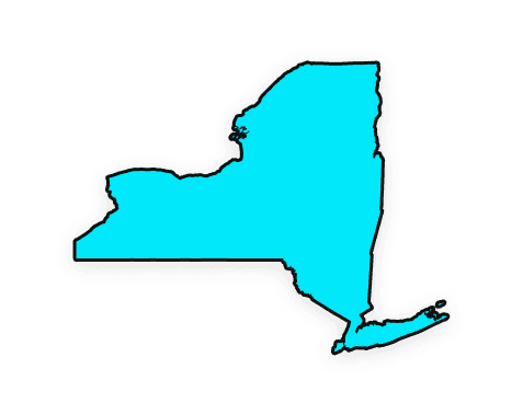 New York Workplace Violence Prevention for Retail